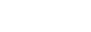 salty owl logo